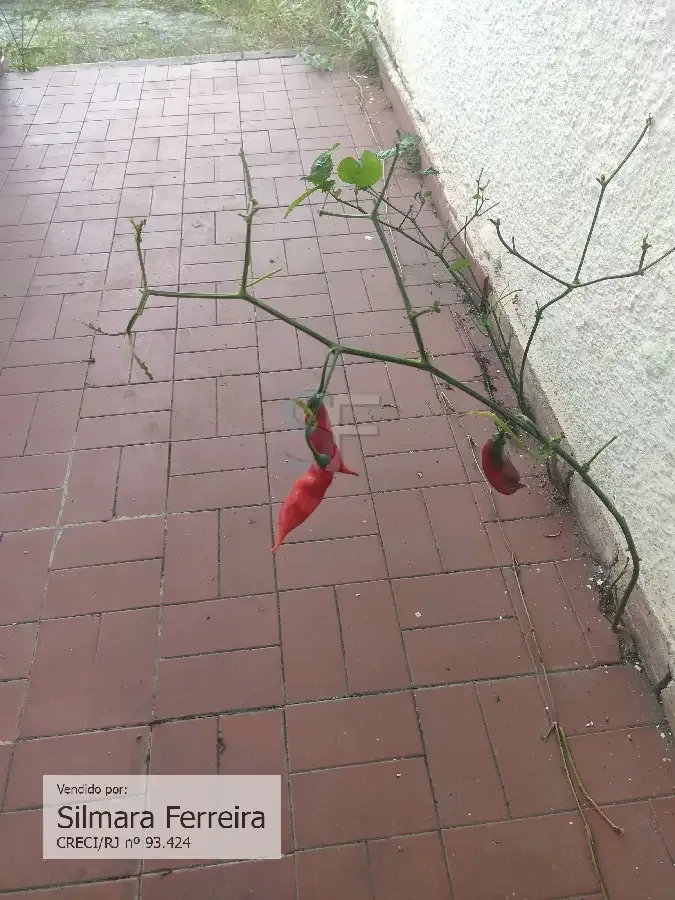 Vende-se Antiga Pizzaria Nona Amélia em Teresópolis - Foto 28